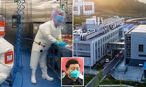 Did Coronavirus Start in Wuhan lab?